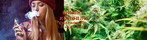 ГАЛЛЮЦИНОГЕННЫЕ ГРИБЫ Белоозёрский