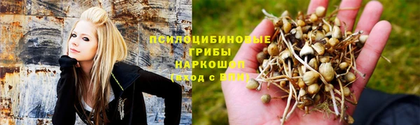 мет Белокуриха