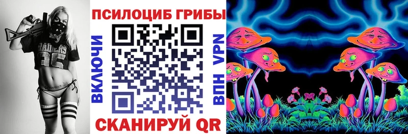 Псилоцибиновые грибы Magic Shrooms  Гремячинск 